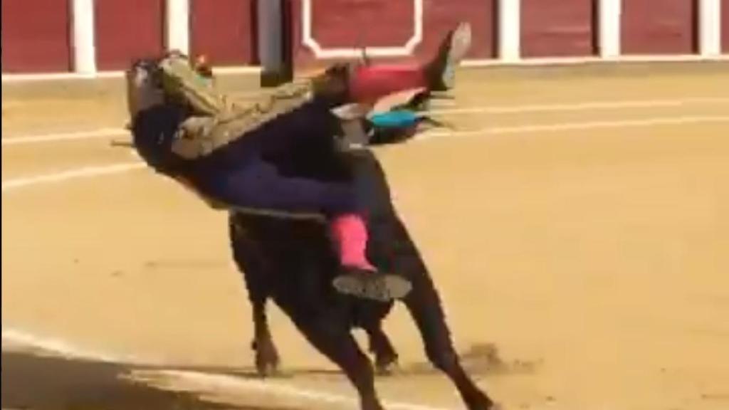 Impresionante cogida de Padilla