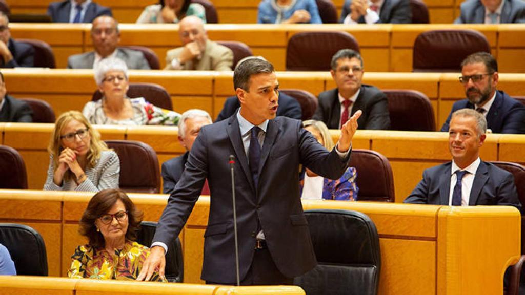 Pedro Sánchez (Ricardo Rubio / Europa Press)