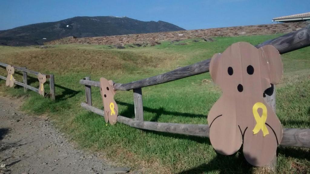 Imagen de los osos independentistas en la casa de la familia Tous en Cadaqués.