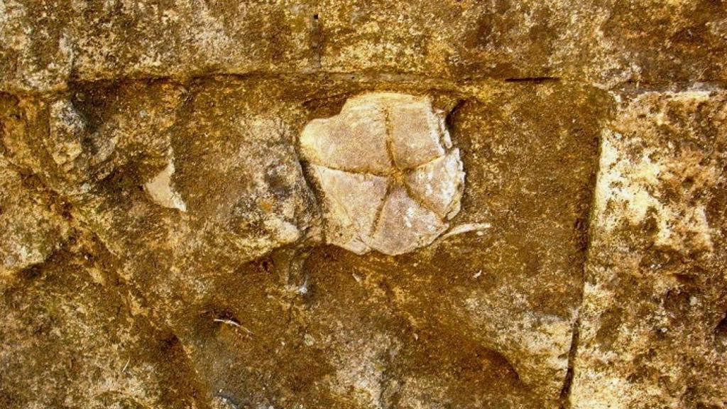 Estrella de piedra la Mezquita de Córdoba.