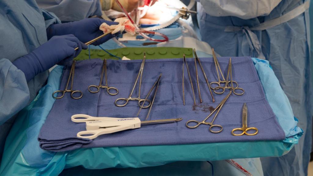 Instrumental utilizado durante un trasplante.
