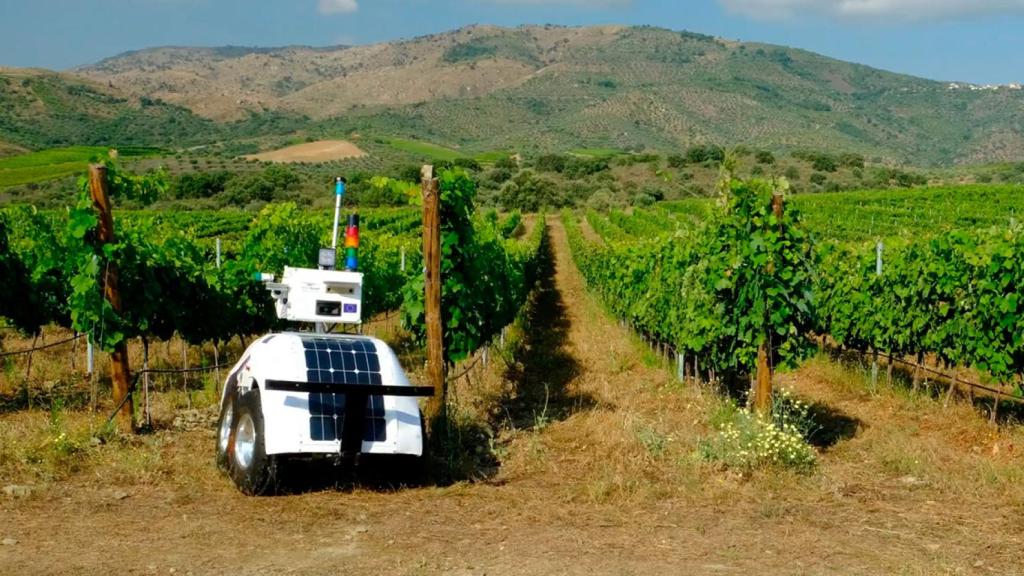 El prototipo de Vinescout ha realizado las primeras pruebas en un viñedo portugués.