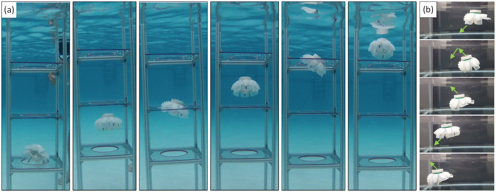 medusa robot arrecifes de coral