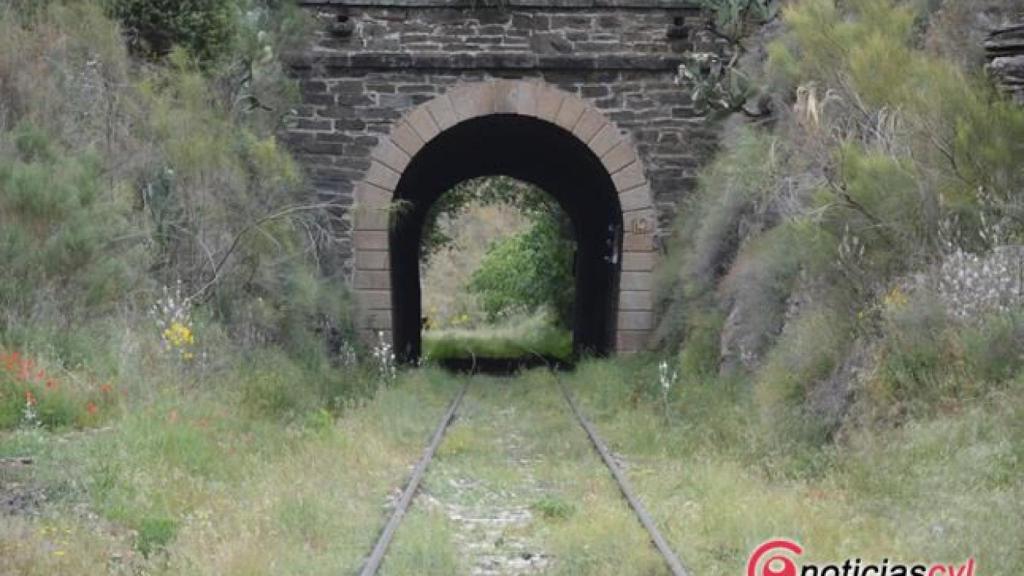 Via ferrea Fregeneda (1)