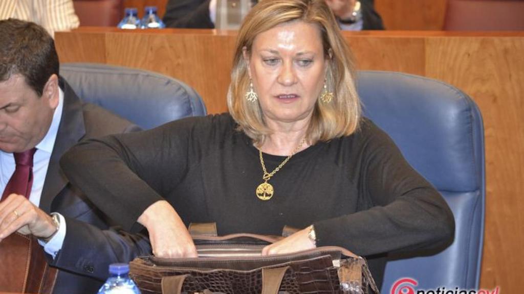 Regional-pleno-cortes-mayo-2018-009