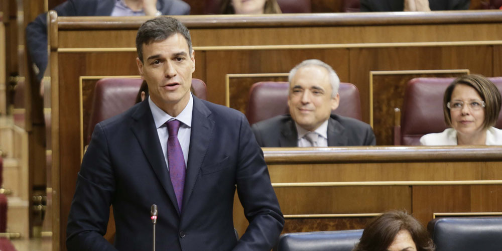 pedro sanchez congreso