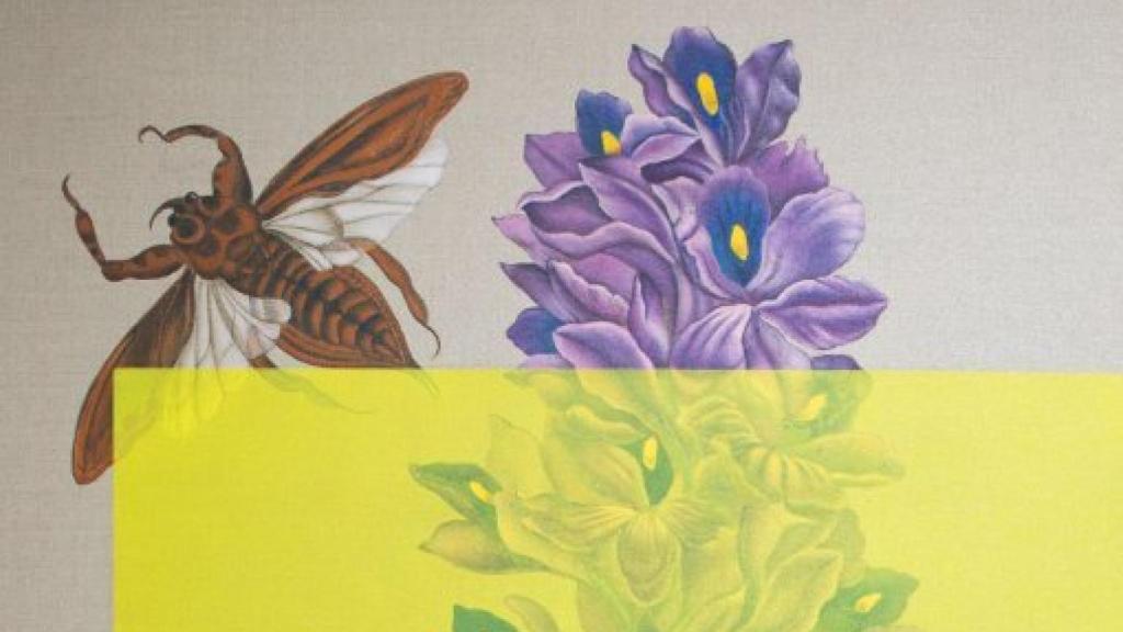 Image: Naturalezas alteradas