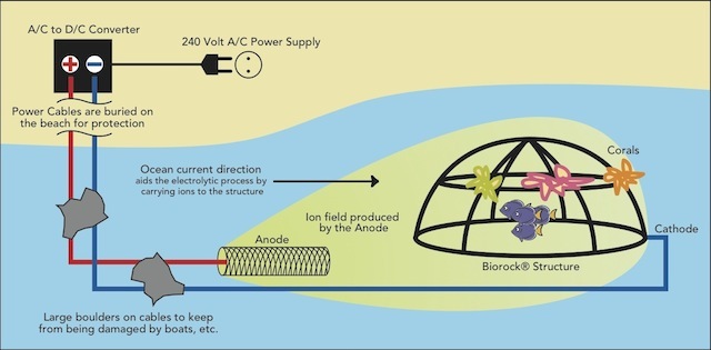 biorock-schematic proyecto traer de vuelta a los corales