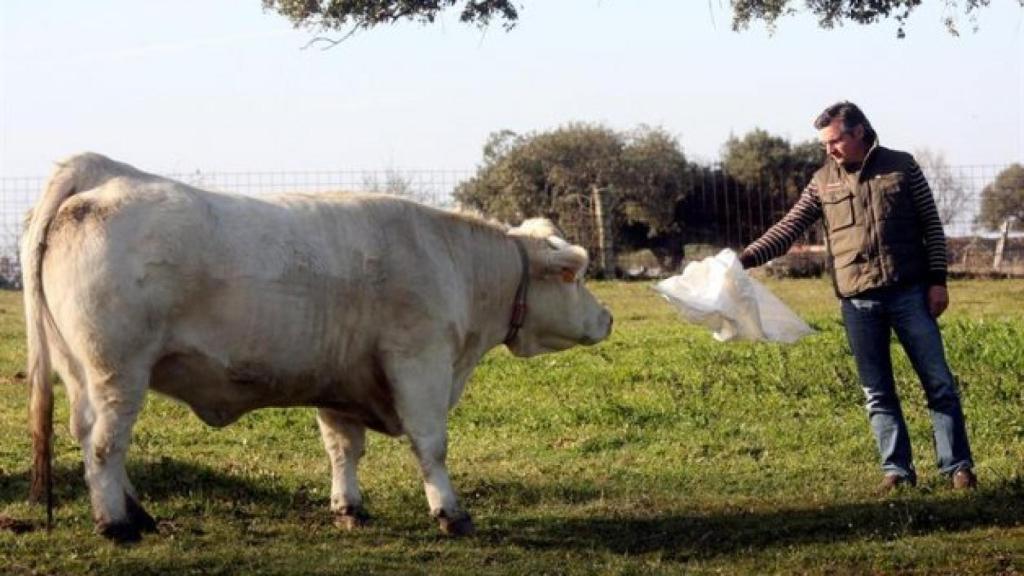 En 16 años, el consumo de leche ha caído de 4 a 3 toneladas al año.