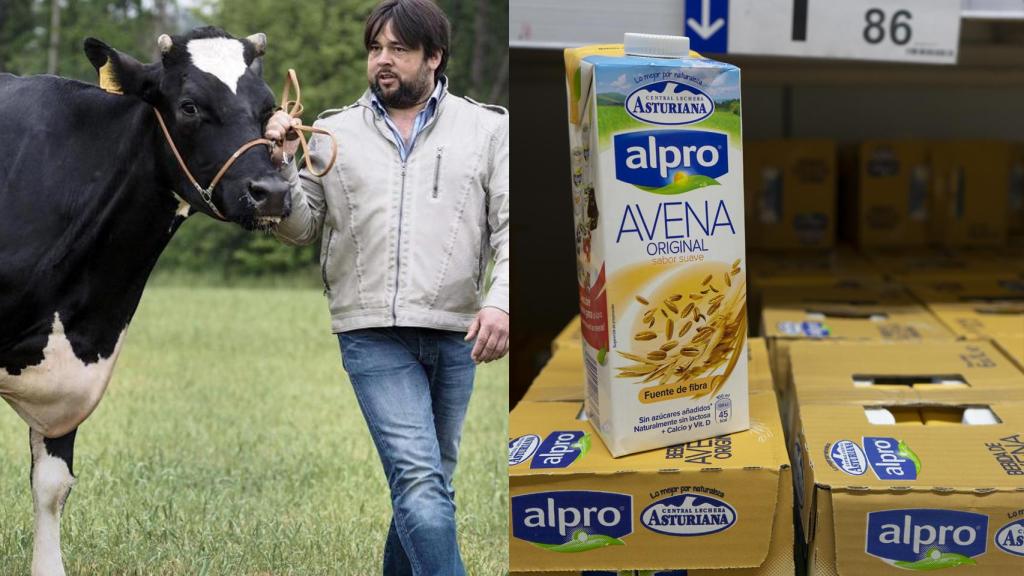 La leche de toda la vida ha perdido un importante terreno en los últimos años.