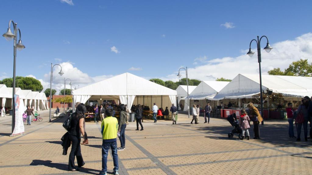 Recinto ferial de Las Rozas.