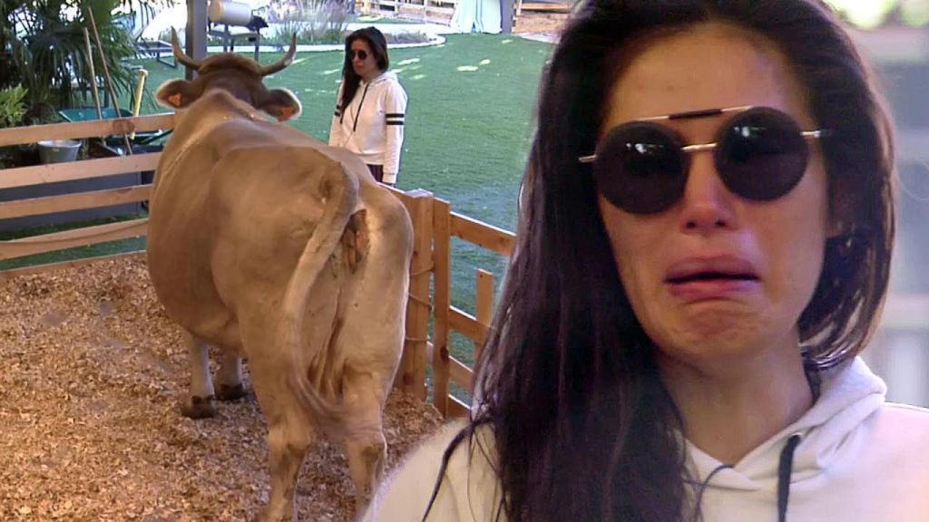 Miriam Saavedra, llorando por la marcha de Juanita.