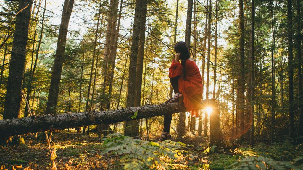 Tecnología y sostenibilidad