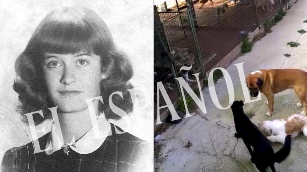 Sara Angela de Alzaga Robinson, Sally, en una imagen de juventud. A la derecha, sus perros en la actualidad.