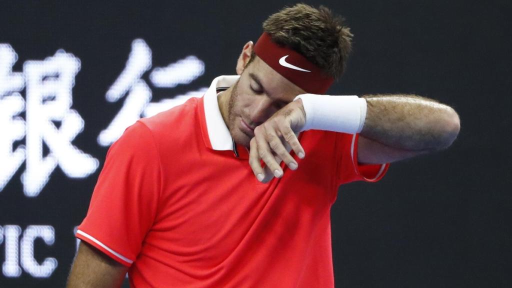 Juan Martín del Potro