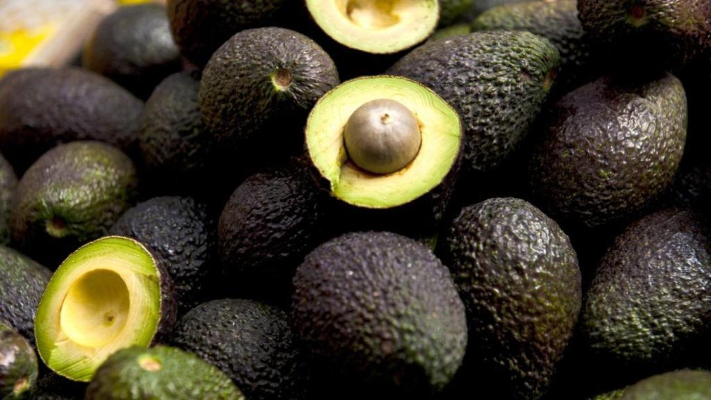 Varios aguacates, en una imagen de archivo.