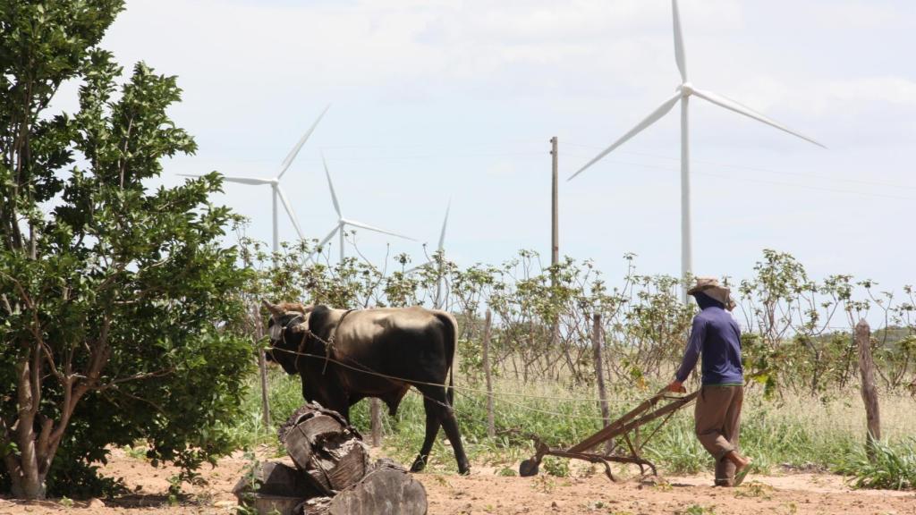 Parque eólico Calangos, en Brasil.