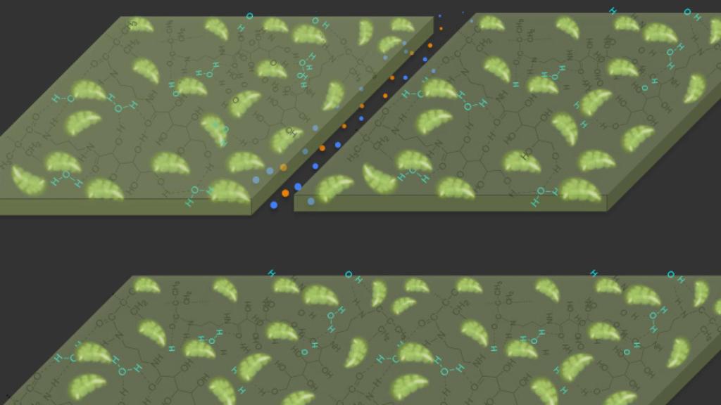 Ilustración de las propiedades de autocuración del nuevo material.