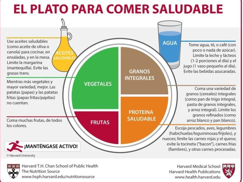 El Plato para Comer Saludable de Harvard.