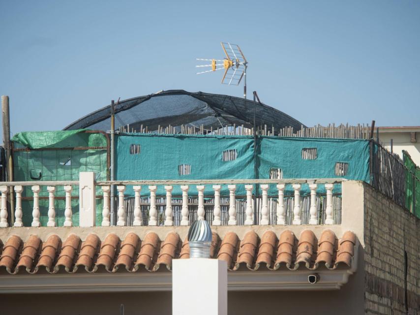 En las azoteas de algunas casas han proliferado las plantaciones de marihuana.