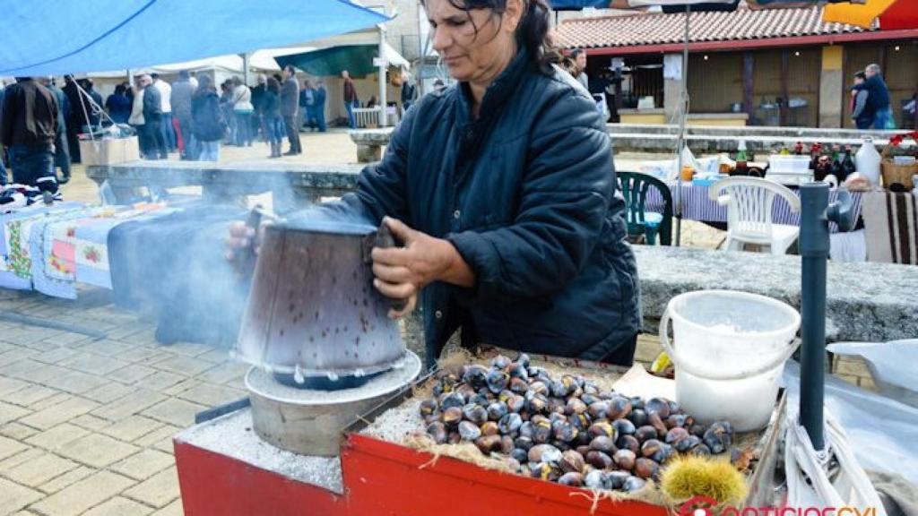 festival-do-borrego-carrapichana-celorico-2016-21