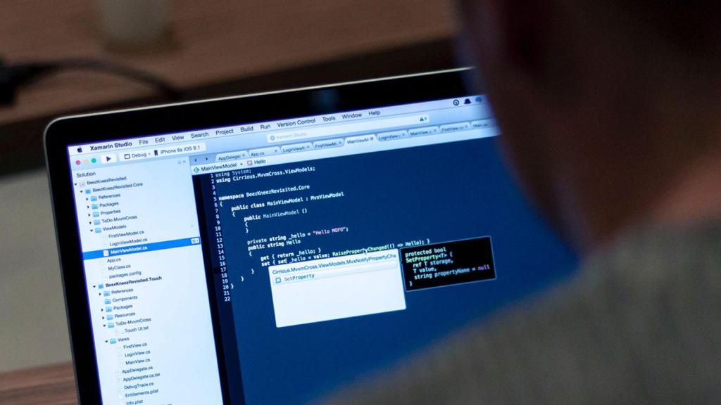 El uso ineficiente del tiempo de los informáticos supone una pérdida de 264.541 millones