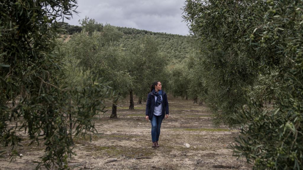 Rosa García revisando el estado de unos olivos del término municipal de Estepa.