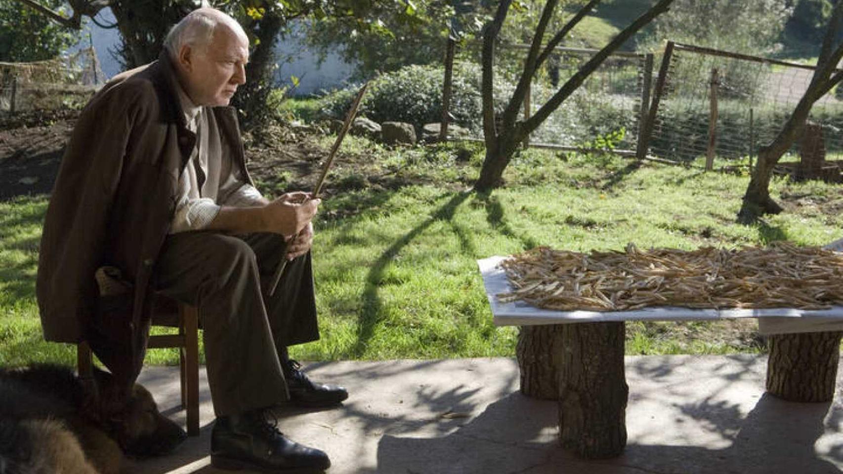 'El prado de las estrellas' (2007)