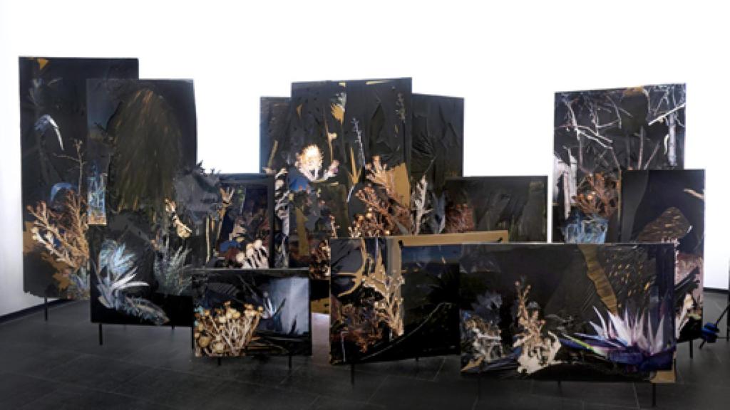 Image: En la vibrante oscuridad