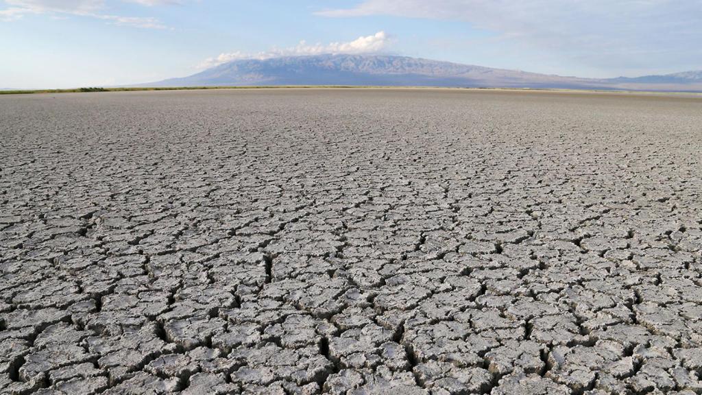 La cooperación entre países resultará clave para frenar estas futuras guerras del agua.