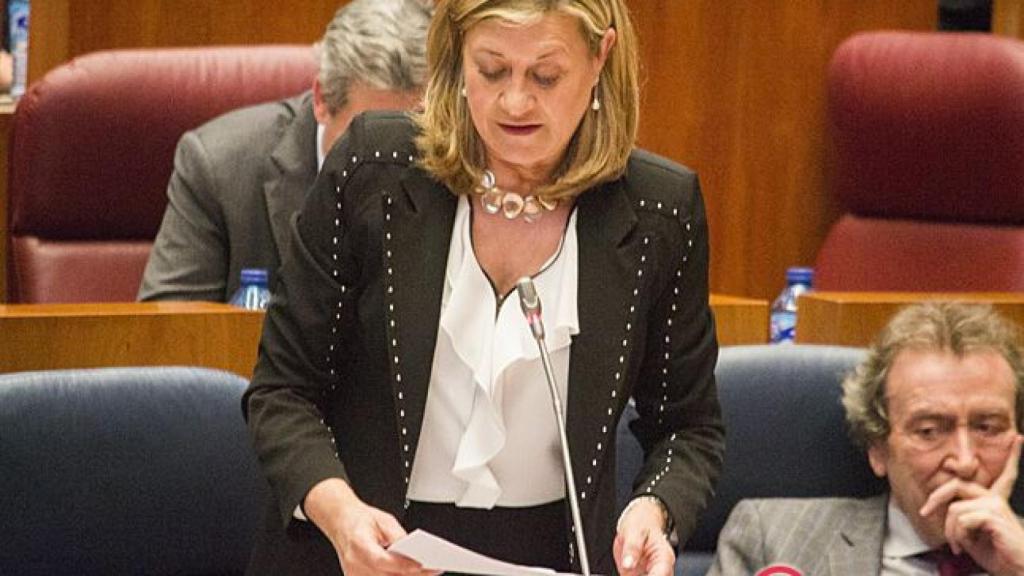 Regional-pleno-cortes-del-olmo