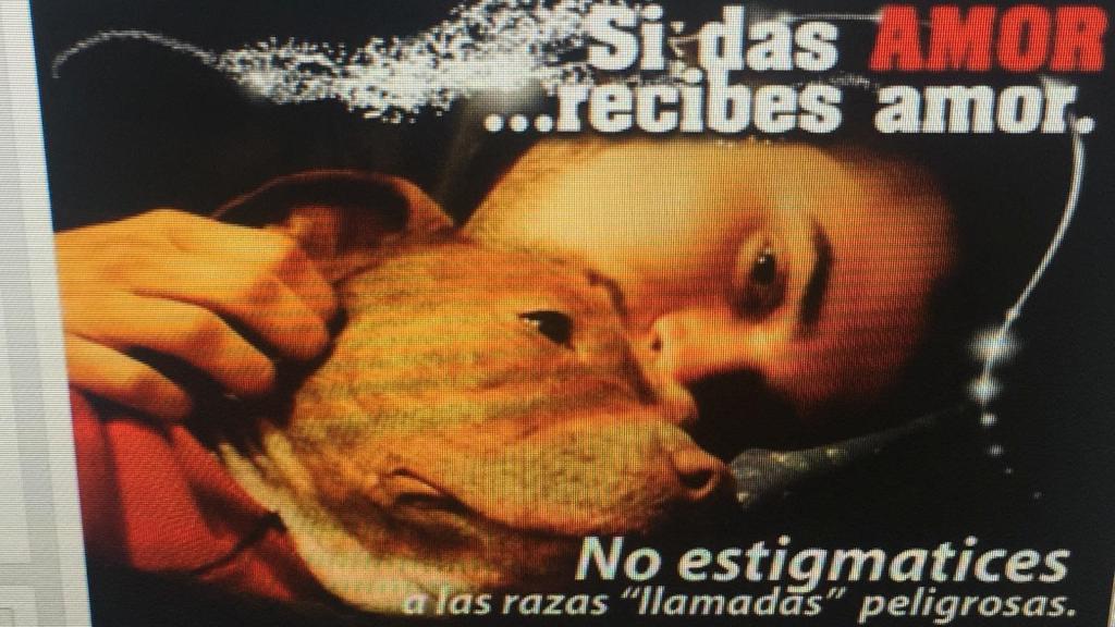 Una de las imágenes que la madre compartía en redes sociales.