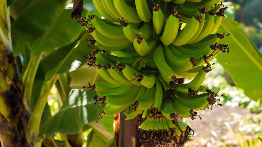 La inteligencia artificial de Easytem gana el premio Impulso de Industria Conectada