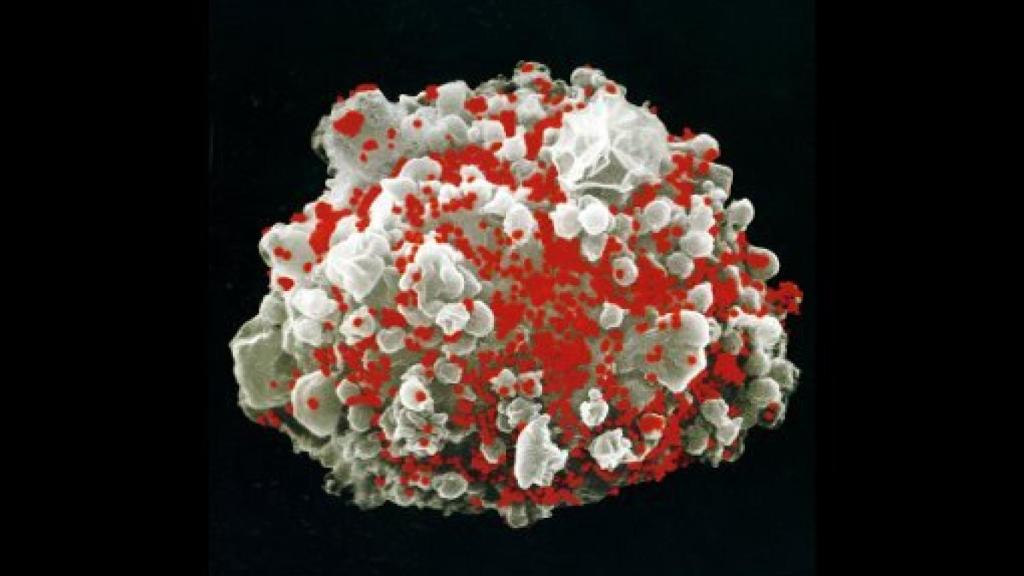 Image: El nuevo milenio, a hombros de gigantes