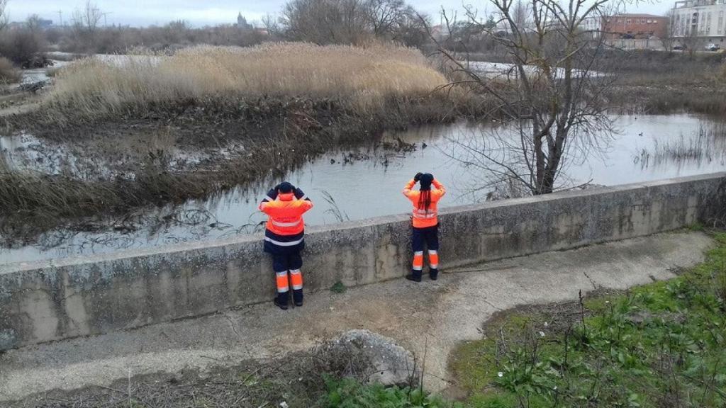 suc desaparecido tormes 4