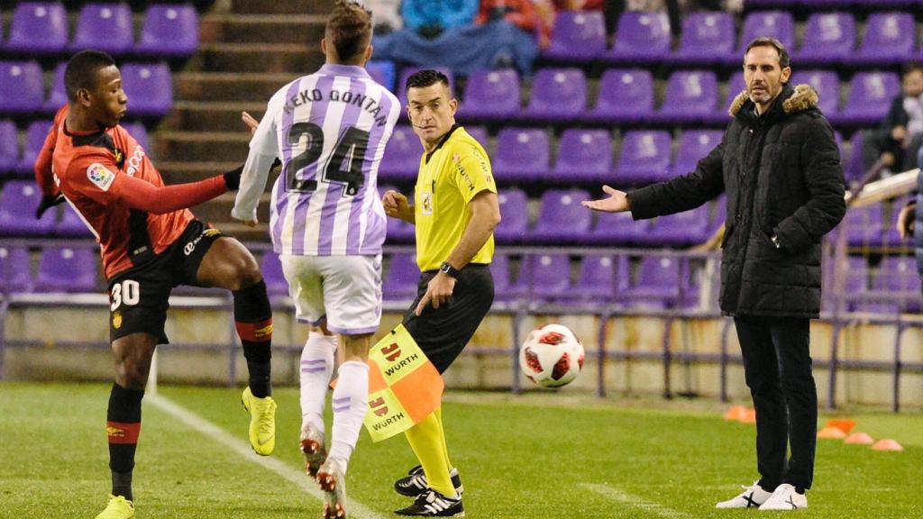Vicente Moreno, entrenador del Mallorca, en el partido ante el Valladolid de Copa del Rey