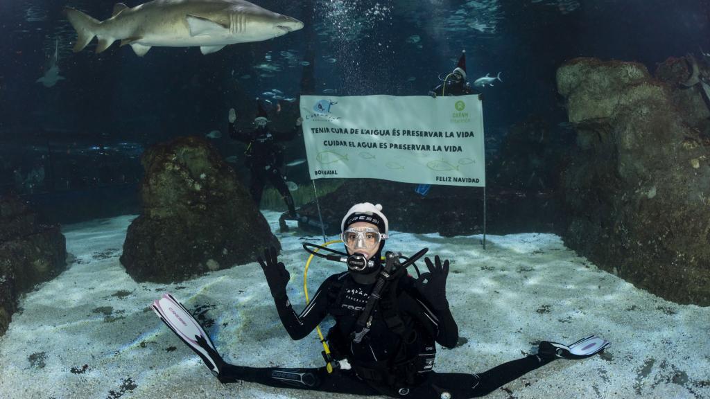 Ona Carbonell en L’Aquàrium de Barcelona