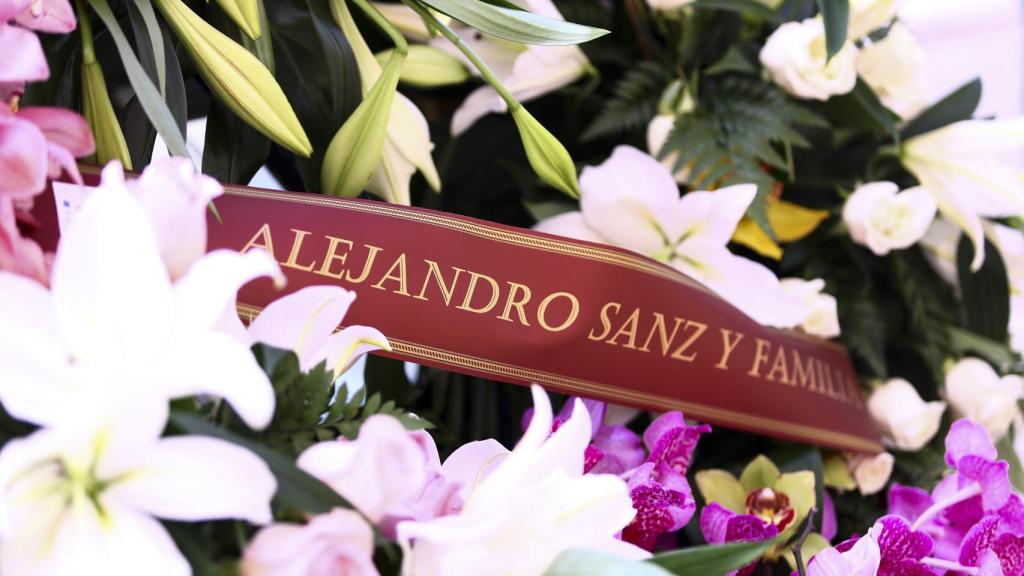 Detalle de la corona de Alejandro Sanz.