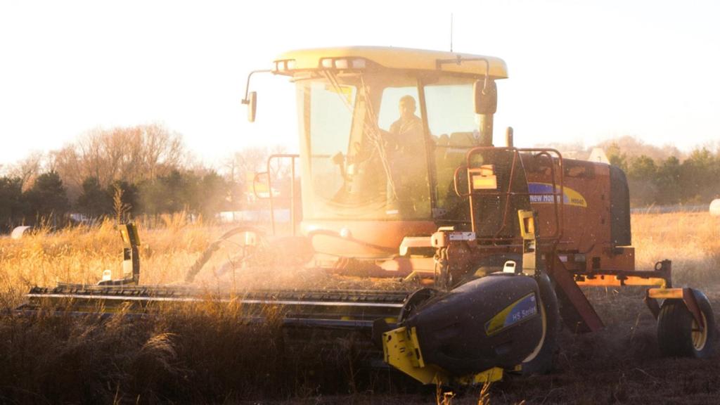 Las granjas familiares cultivan el 75% del suelo agrícola mundial y el 80% de los alimentos.