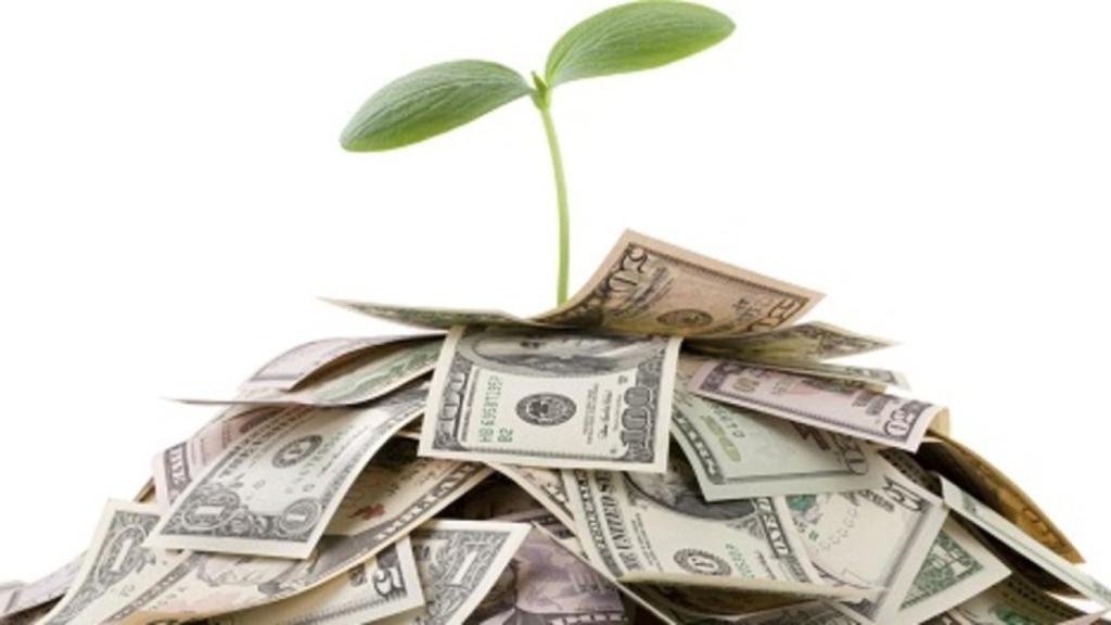 El futuro es verde: 30 ideas para invertir en un mundo más sostenible