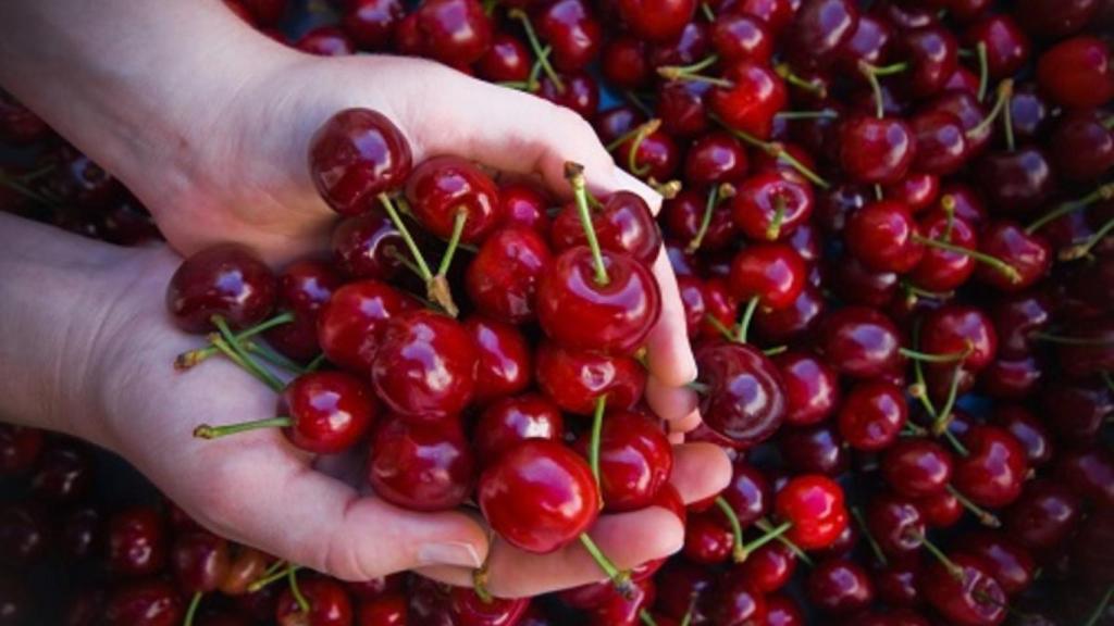 cerezas_mano_frutas