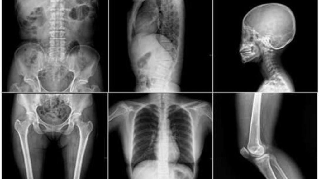 Radiografía de la economía: el sector exterior gana peso y el empleo modera su crecimiento