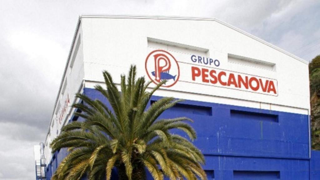 pescanova_palmera