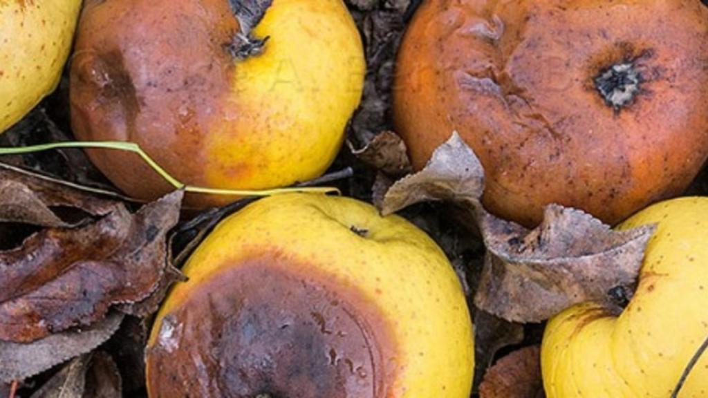 Los rivales chinos ganan cuota a Apple en los mercados tecnológicos más desarrollados