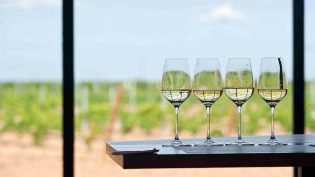 10 cosas sobre vino español que tal vez no sepas