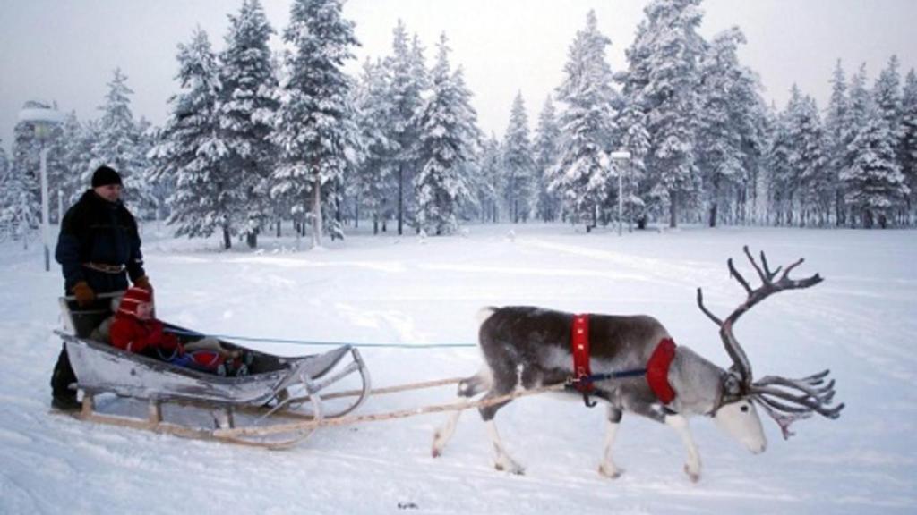 ¿Qué europeos trabajan más años de media?