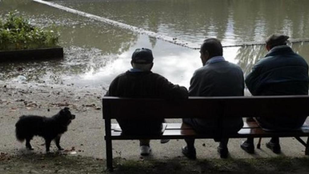 ¿Has aportado a tu plan de pensiones en 2016? Ejemplos del ahorro en Renta con tipos diferentes