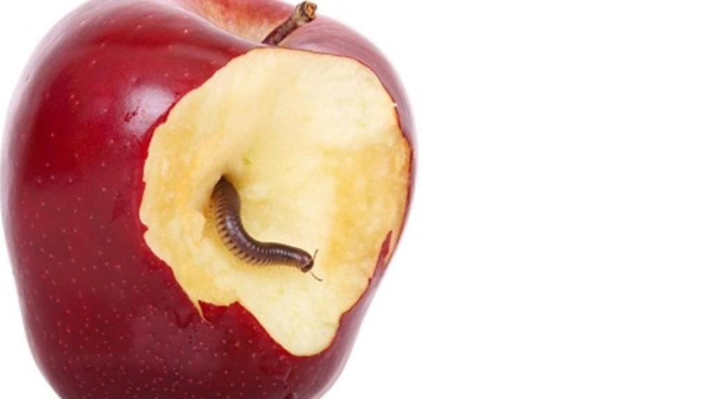 Así actúa WannaCry, el ransonware que ha atacado a varias organizaciones españolas