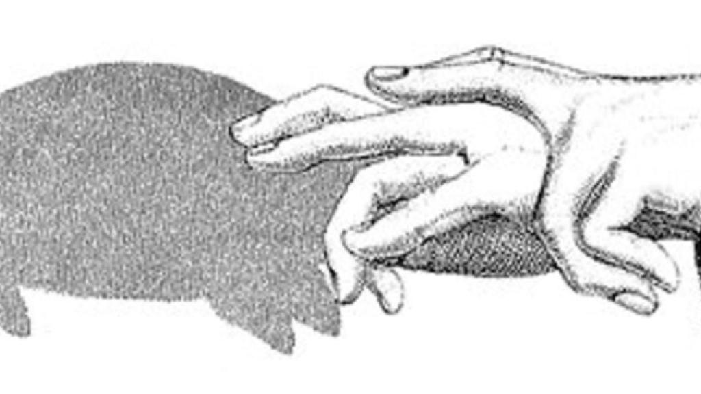 Luces y sombras del nuevo Plan de Vivienda