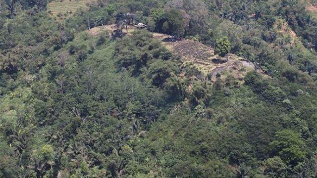 La cima de la supuesta pirámide oculta en un monte. Foto: Danny Hilman Natawidjaja